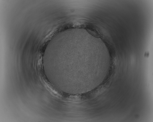 X0000111350914200907241154