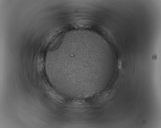 X0000111350915200907241154