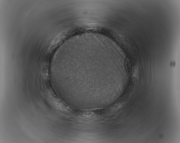 X0000111350916200907241154