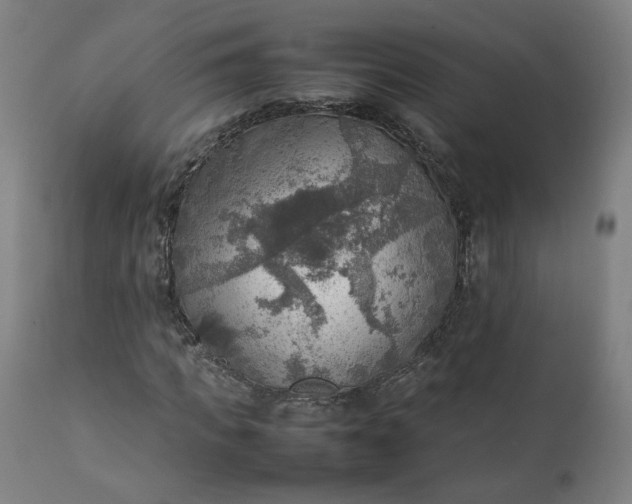 X0000111350917200907241154