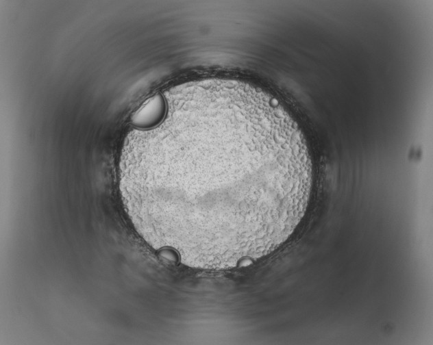 X0000111350918200907241155