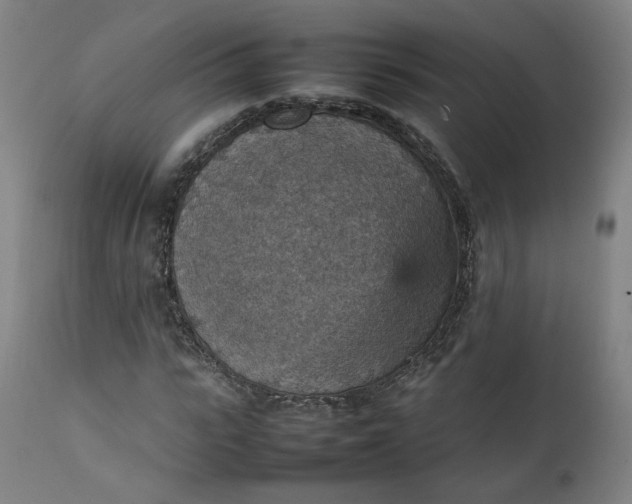 X0000111350919200907241155