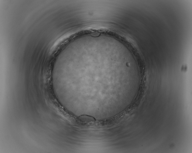 X0000111350920200907241155