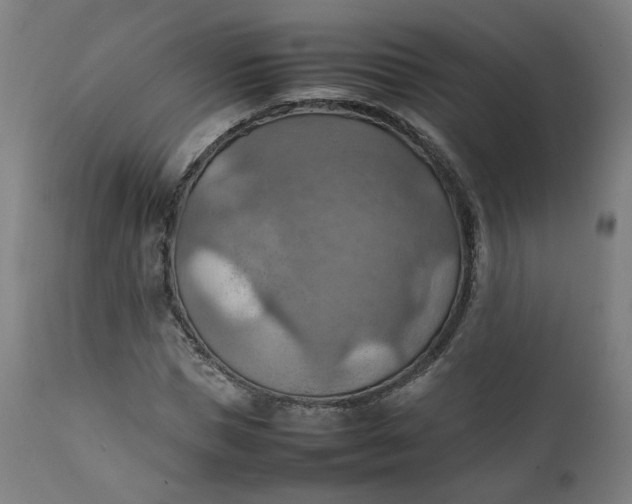 X0000111350921200907241155