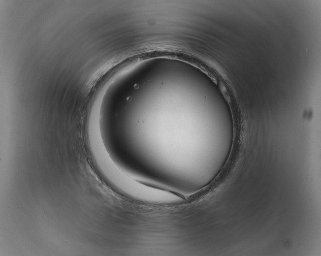 X0000111350922200907241155