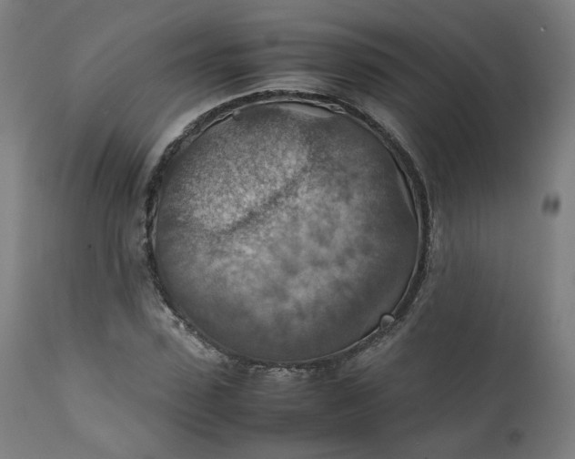 X0000111350923200907241155