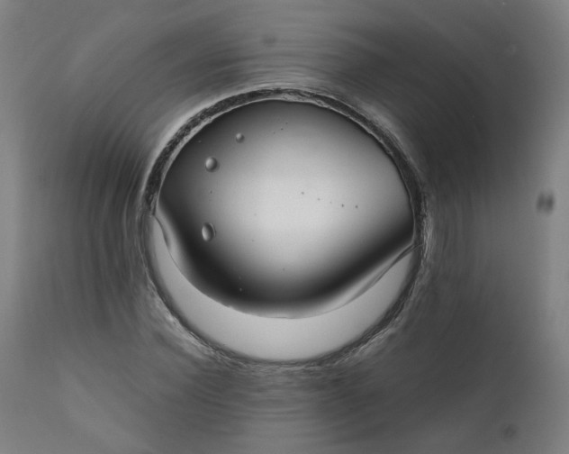 X0000111350924200907241155