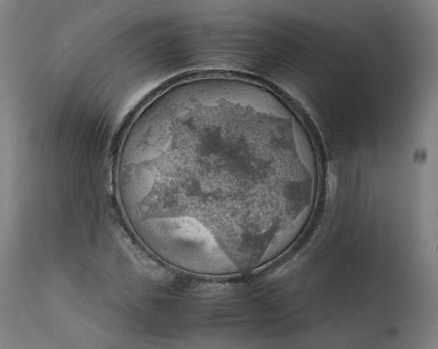 X0000111350925200907241155