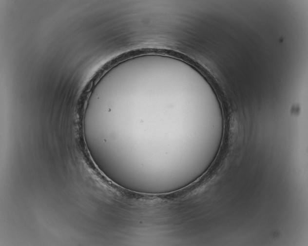 X0000111350926200907241155