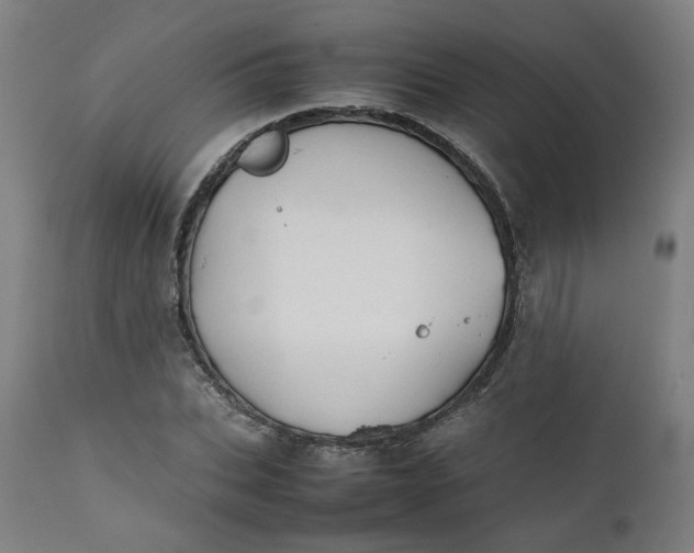 X0000111350927200907241155