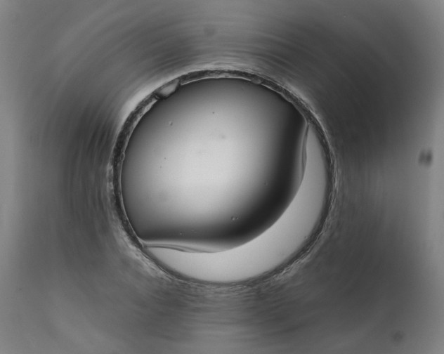 X0000111350928200907241155