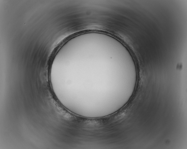 X0000111350931200907241155