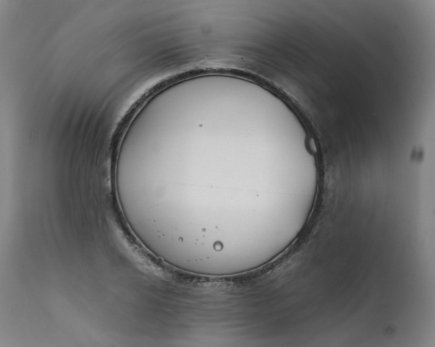 X0000111350934200907241155