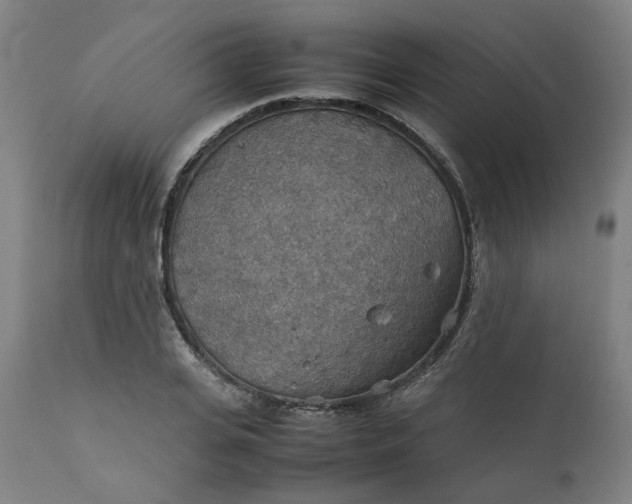 X0000111350935200907241155