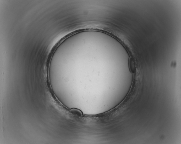 X0000111350936200907241155