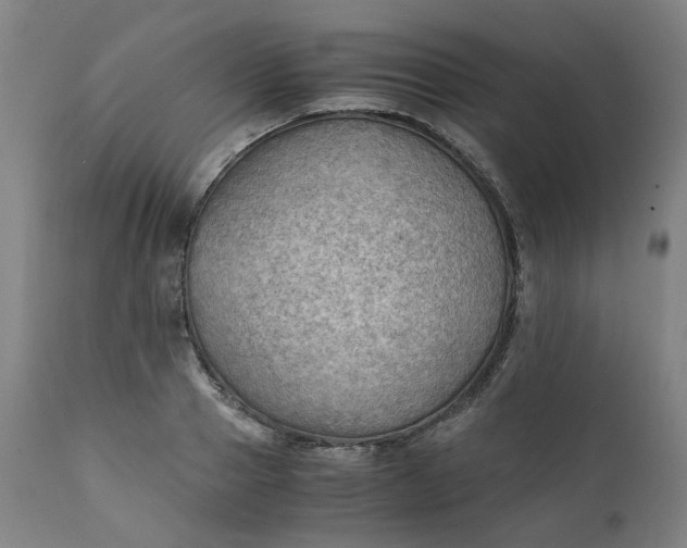 X0000111350937200907241155