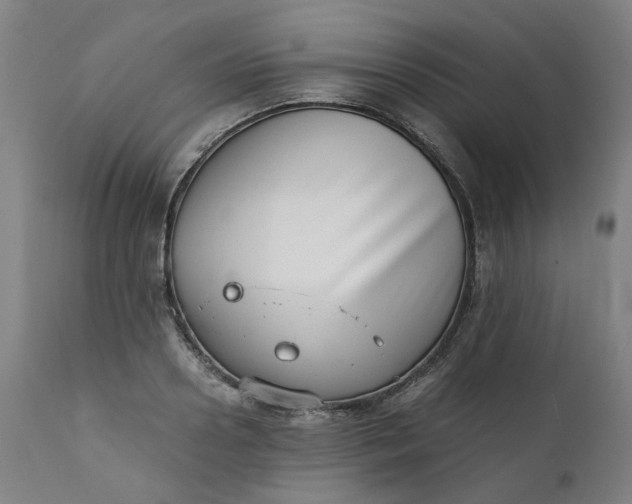 X0000111350938200907241155