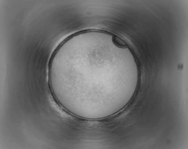 X0000111350940200907241155