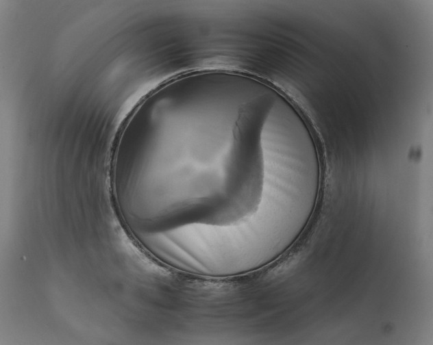 X0000111350941200907241155