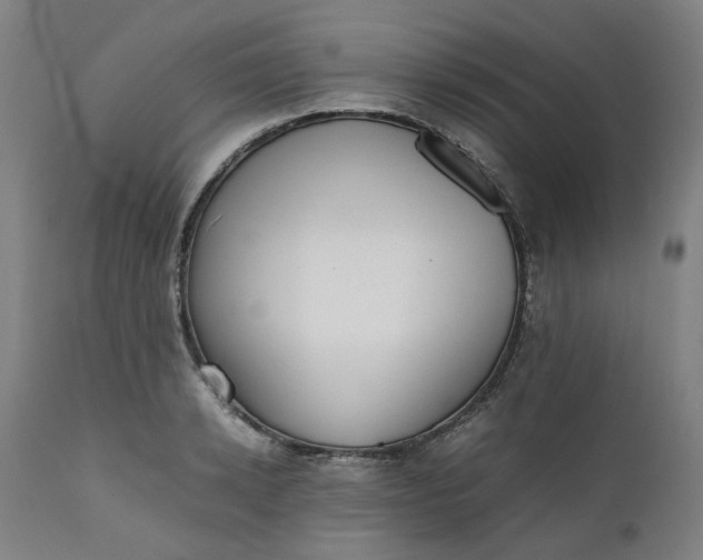 X0000111350942200907241155