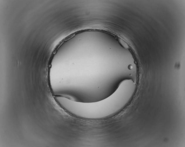 X0000111350944200907241155