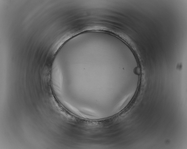 X0000111350945200907241155