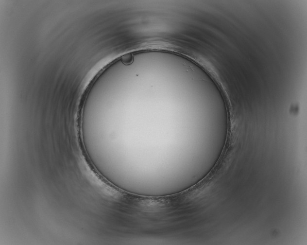 X0000111350947200907241155