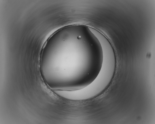 X0000111350948200907241155