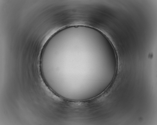 X0000111350949200907241155