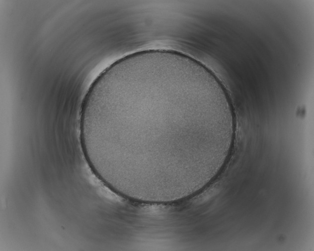 X0000111350950200907241155