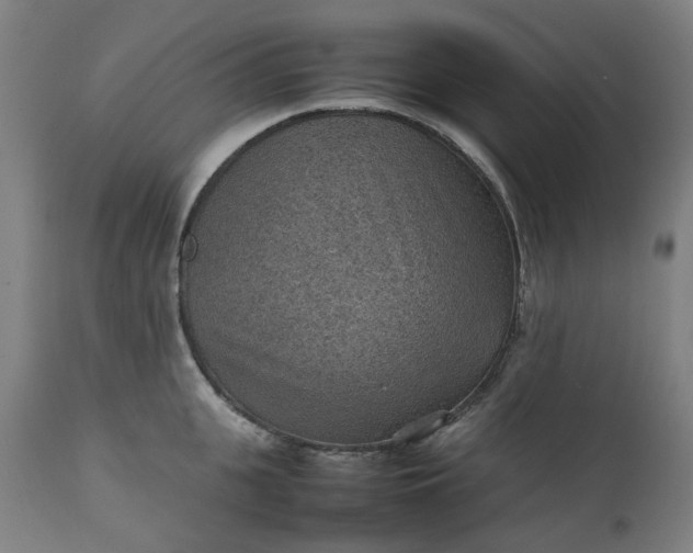 X0000111350951200907241155