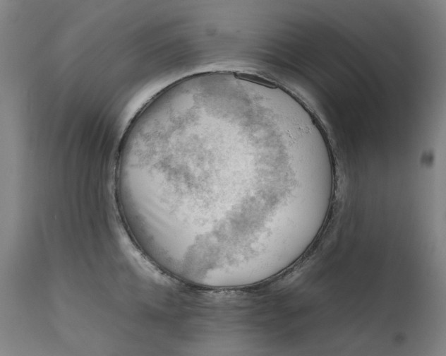 X0000111350952200907241155