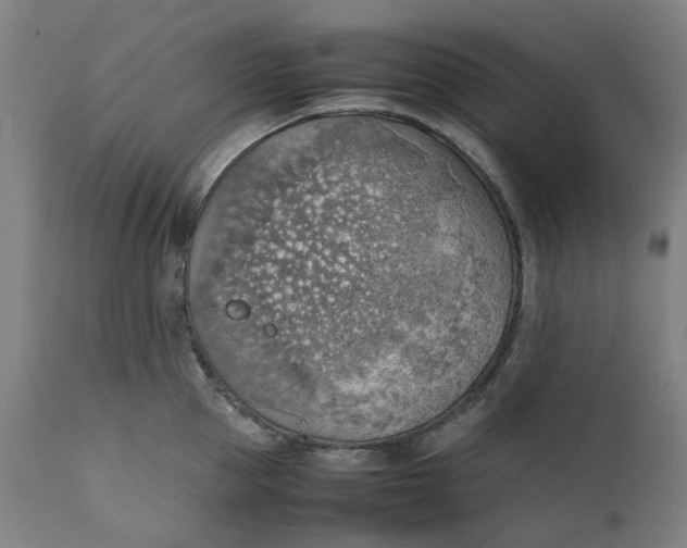 X0000111350953200907241155