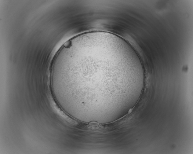 X0000111350955200907241155