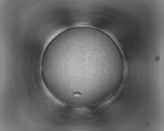 X0000111350957200907241155