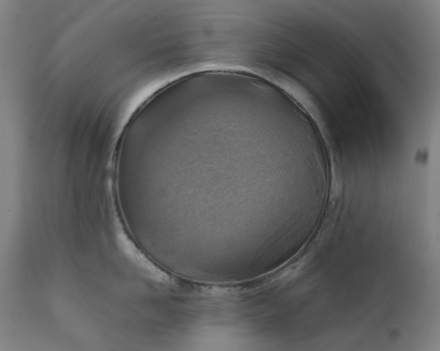 X0000111350958200907241155