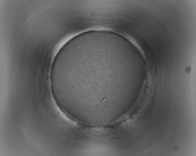 X0000111350959200907241155