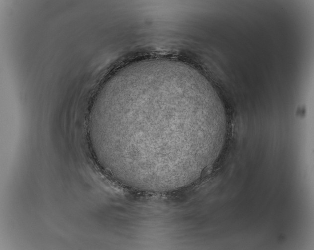 X0000111350961200907241154