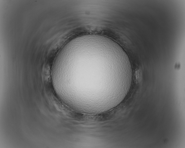 X0000111350963200907241154