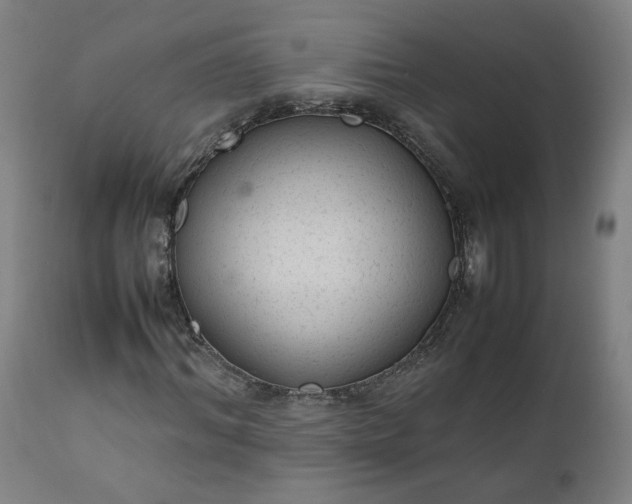 X0000111350964200907241154