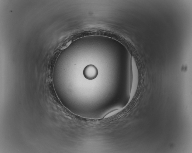 X0000111350965200907241154