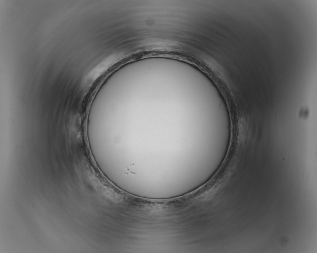 X0000111350970200907241154