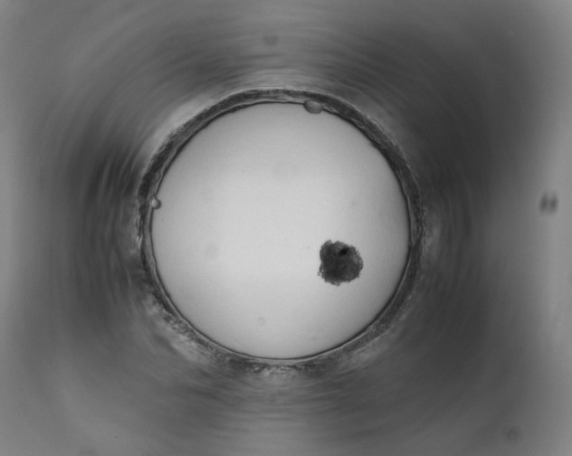 X0000111350974200907241154