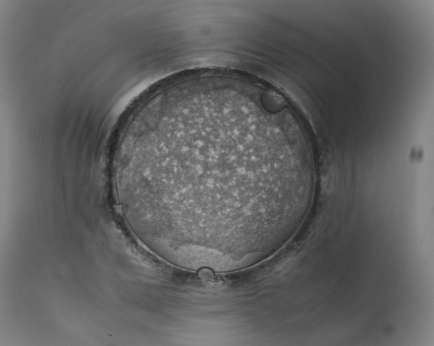 X0000111350975200907241154