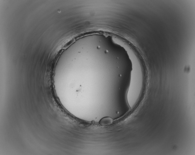 X0000111350977200907241154