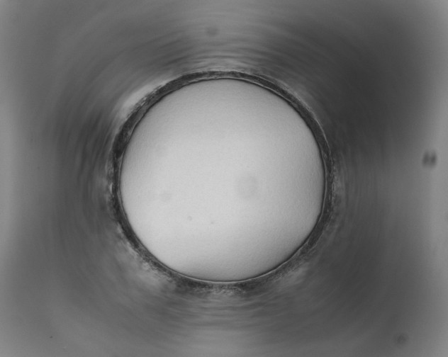 X0000111350979200907241154