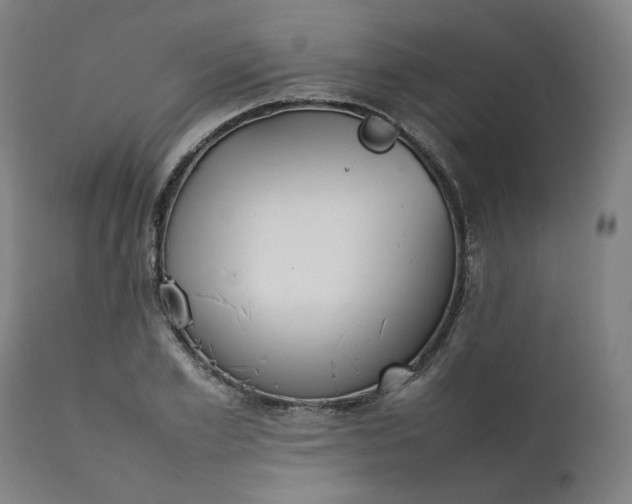 X0000111350981200907241154