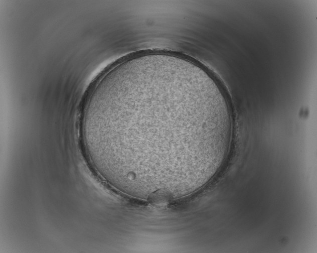 X0000111350983200907241154