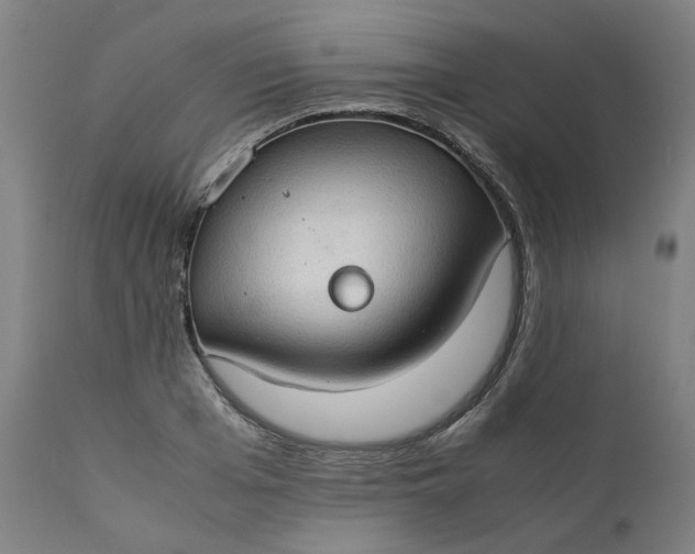 X0000111350985200907241154