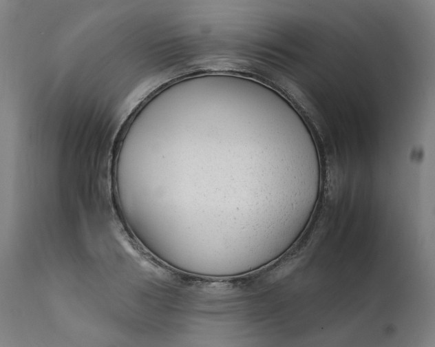 X0000111350986200907241154